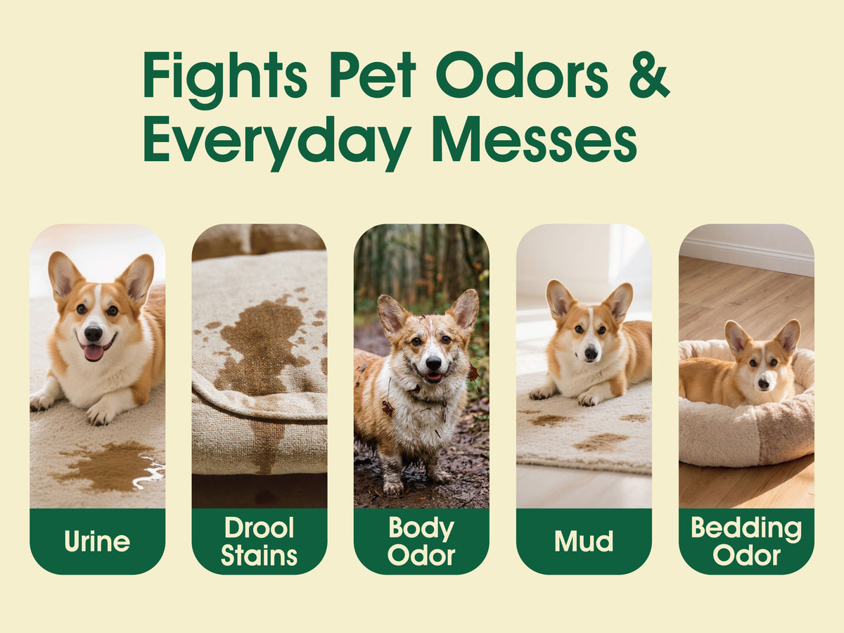 Pet Hair & Odor Removal Laundry Pods