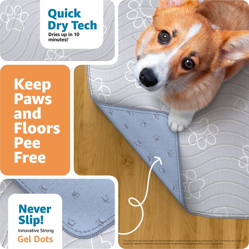 Dog Pad