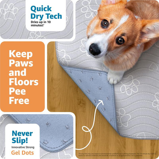 Dog Pad